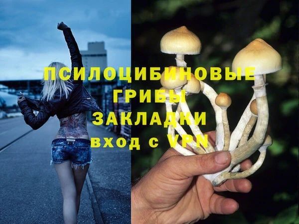 PSILOCYBIN Верея